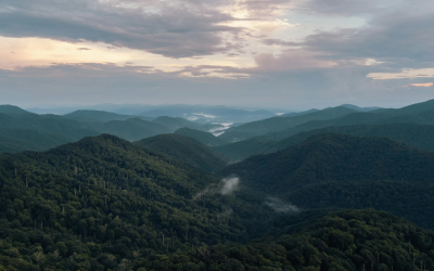 The Ultimate Starter Checklist for New Tennessee Businesses: What to Track from Day One