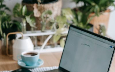 Why Timely Monthly Financial Reports Can Transform Your Small Business